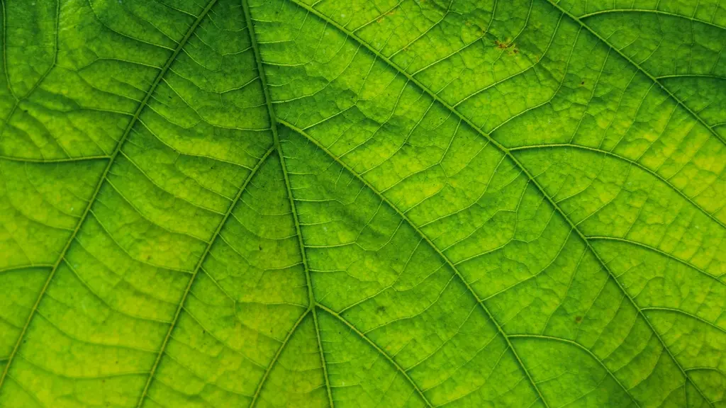 ClickHouse® as a Replacement for ElasticSearch for Logs