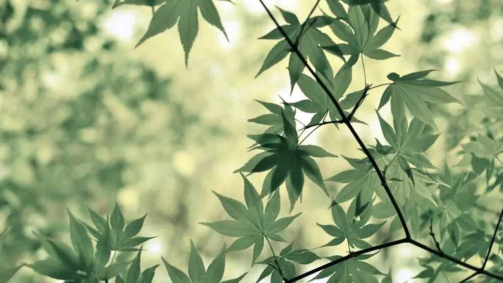 Deep Dive into the ReplacingMergeTree Engine